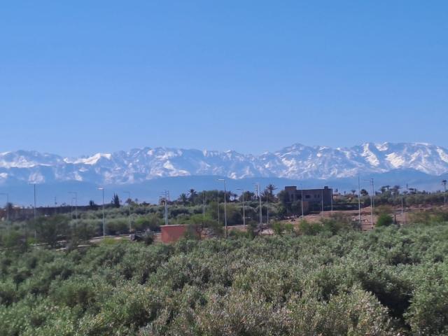 تجزئة قاسم